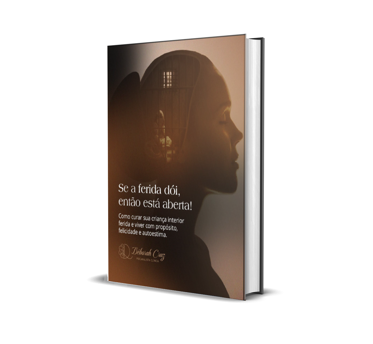 Livro 3